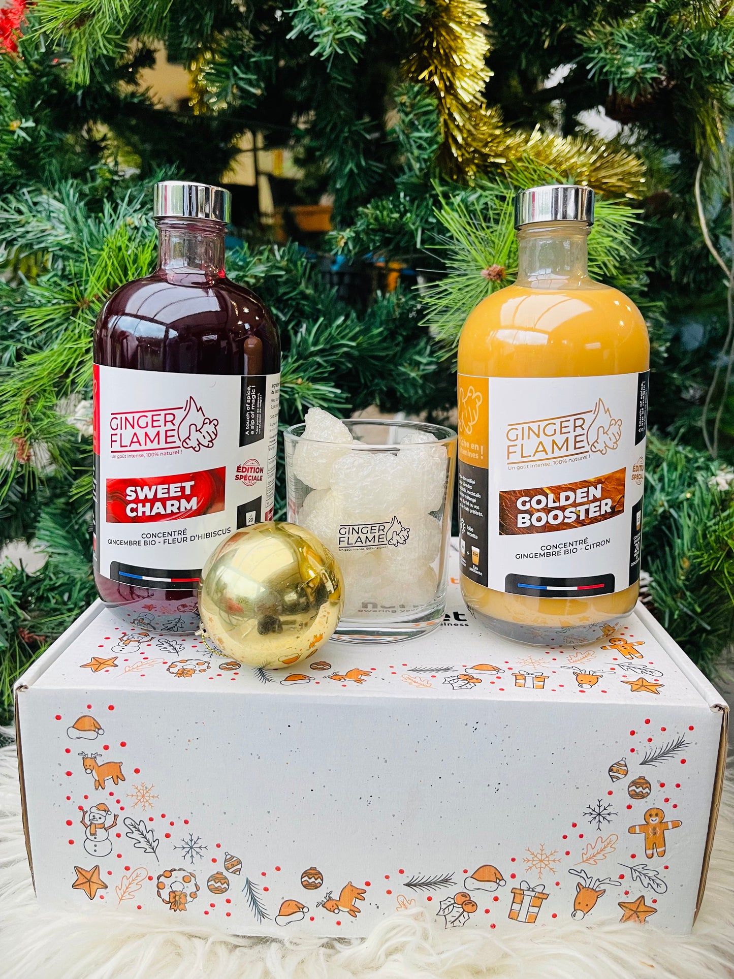 Coffret Concentré Gingembre Citron - Concentré Hibiscus