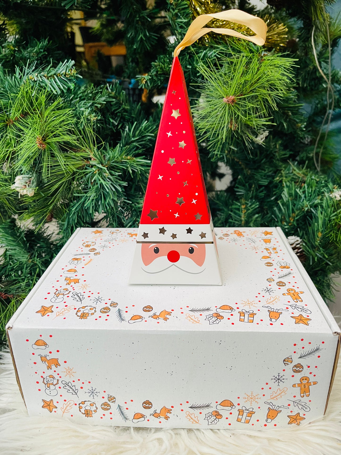 Coffret Concentré Gingembre Citron - Concentré Hibiscus